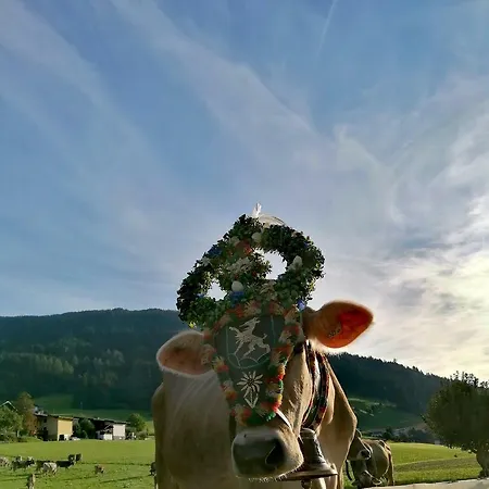 Oberogeracher Hof *